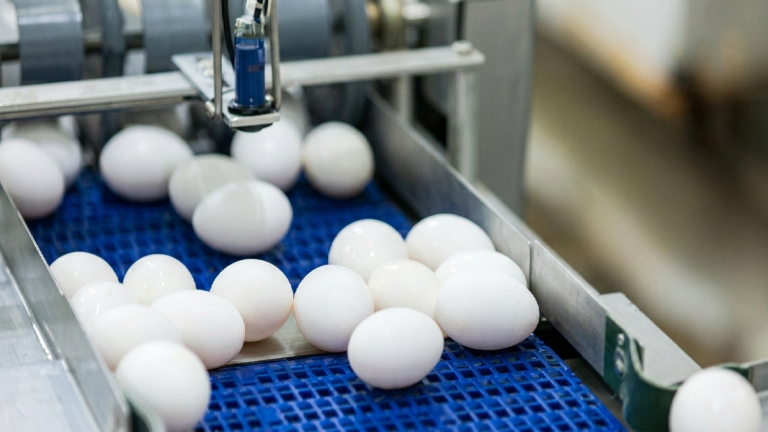 The Cornerstone of Vaccine Production and Global Biosecurity